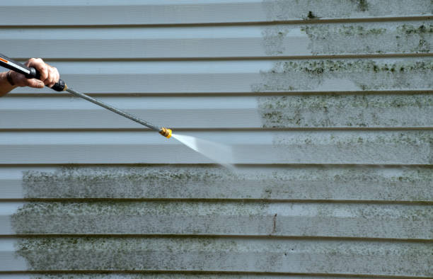 Best House Pressure Washing  in Lauderdale, MN
