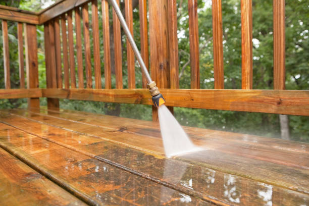 Best Affordable Pressure Washing  in Lauderdale, MN