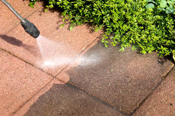 Best Pressure Washing Company Near Me  in Lauderdale, MN